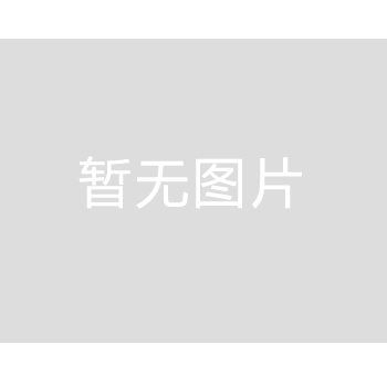 確保高壓油泵保持穩定性能的基本原則 